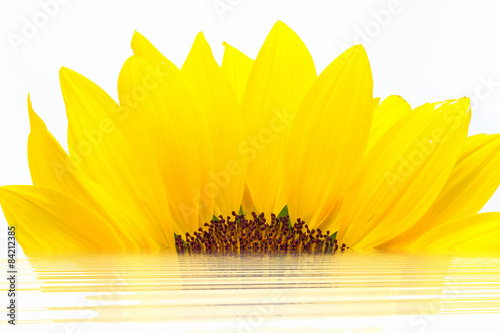 Fototapeta Naklejka Na Ścianę i Meble -  Sonnenblume