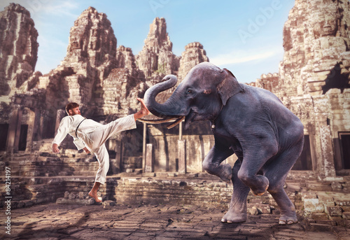 Karateka fights with elephant