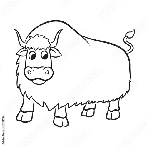 Illustration of yak on a white background. Vector