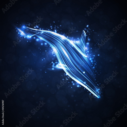 Neon dolphin