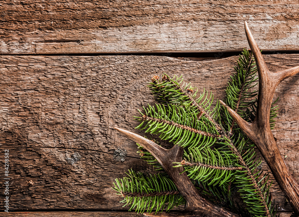 Fototapeta premium Evergreen Branch and Deer Antler on Wooden Surface