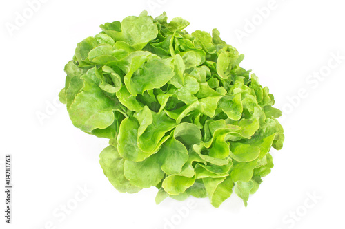 Fresh oak leaf lettuce isolated on white
