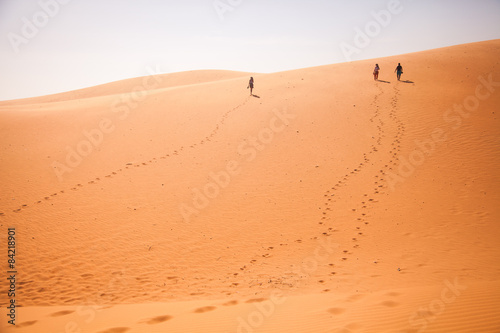 The traveler in the desert