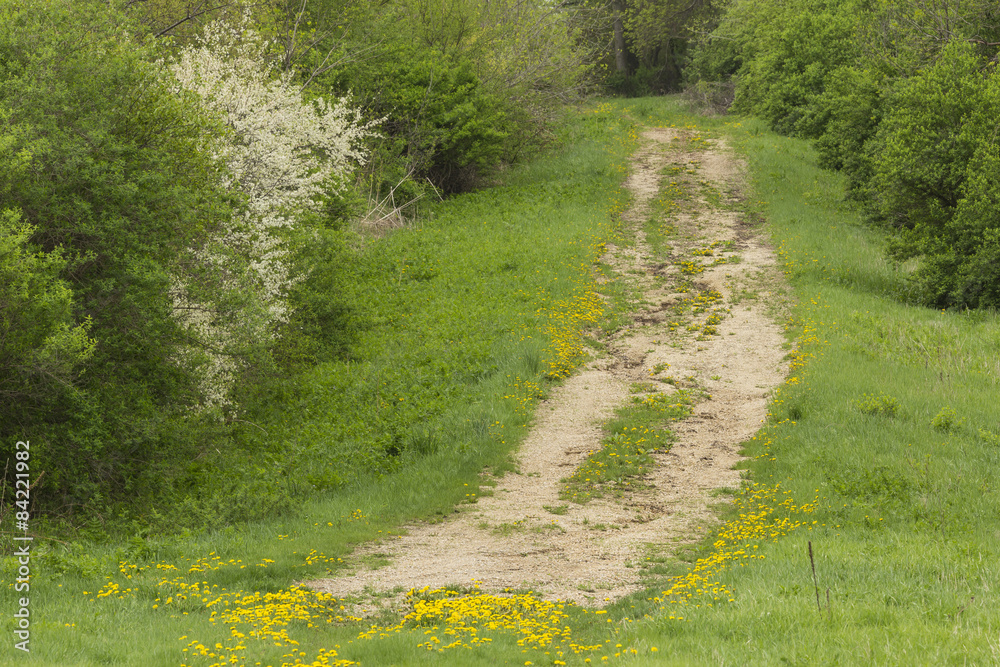 Obraz premium Rural Farm Road In Spring