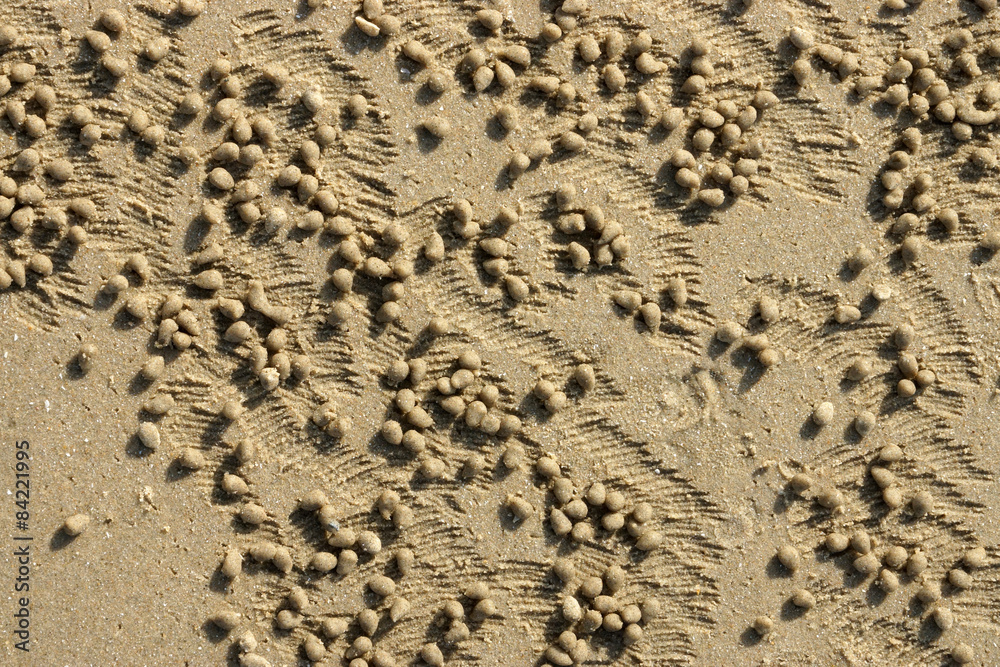 Sand texture from crab Sand texture from crab