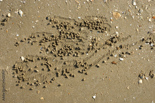 Fototapeta Naklejka Na Ścianę i Meble -  Sand texture from crab