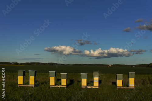 Row of beehives