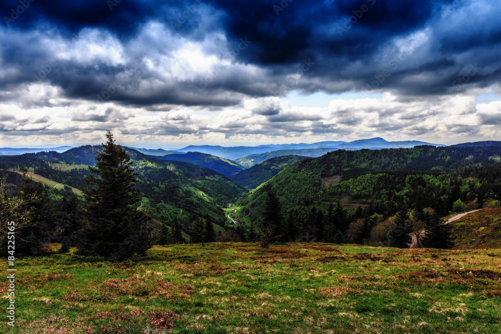 Fototapeta premium Feldberg Mountain in Spring