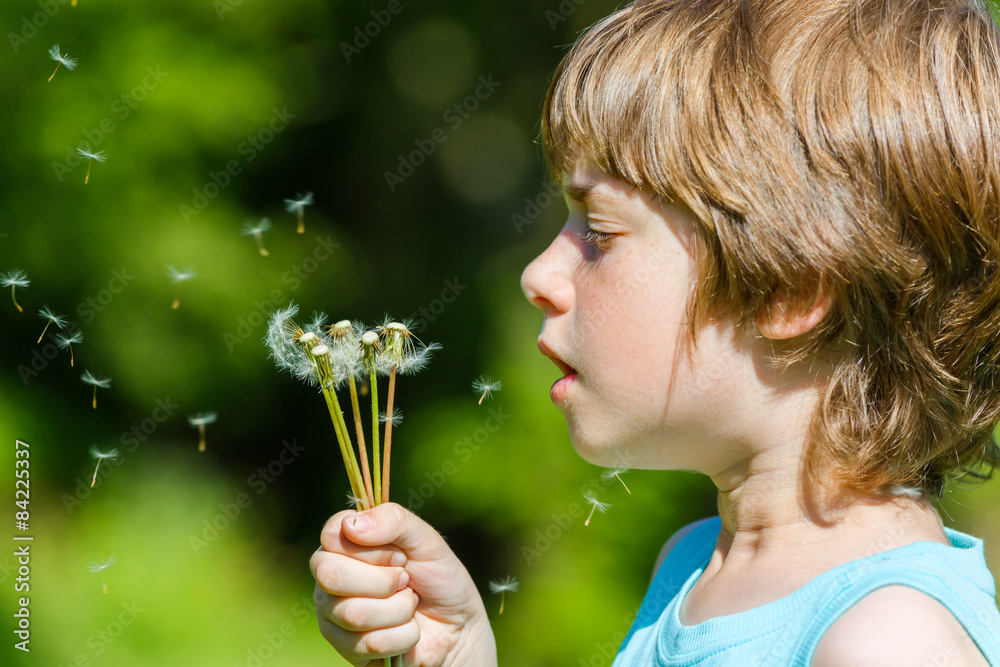 Kid blowing dandelion outdoor on green Kid blowing dandelion outdoor on green