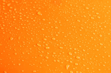 Water drops on orange background
