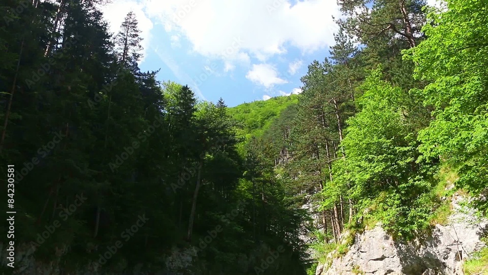 Tal mit Gebirgsfluss Tal mit Gebirgsfluss