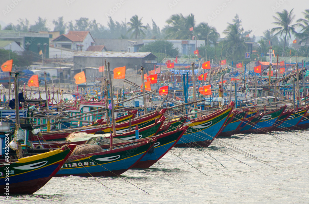 Vietnamese fleet
