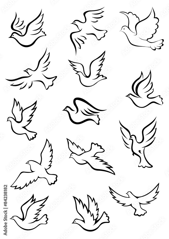 Outline graceful dove and pigeon birds Outline graceful dove and pigeon birds