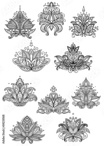 Outline persian paisley flowers and blossoms