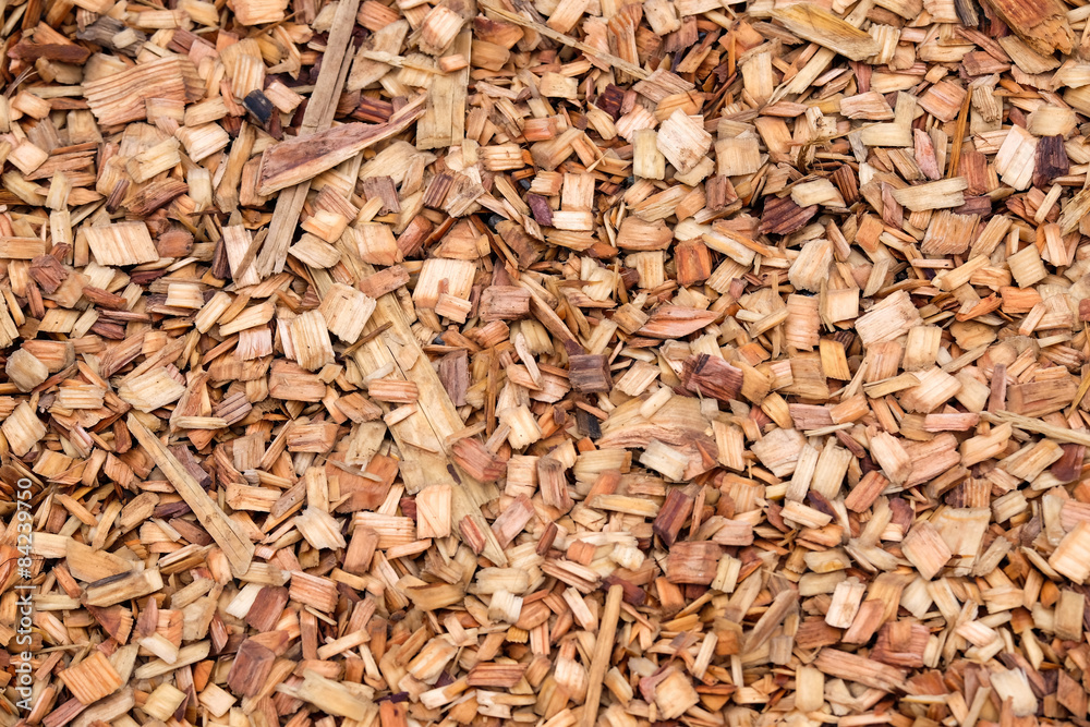 Scraps of wood Scraps of wood