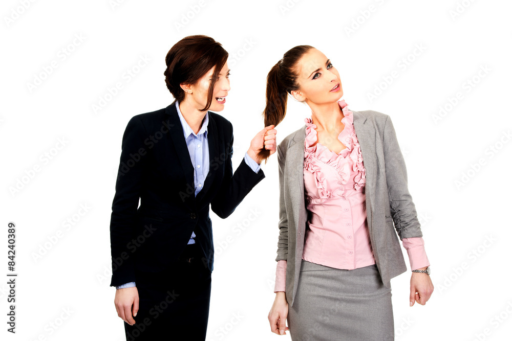 Angry businesswoman pulls her friends hair.