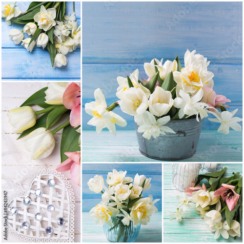 Fototapeta Naklejka Na Ścianę i Meble -  Collage from photos with fresh narcissus and tulips