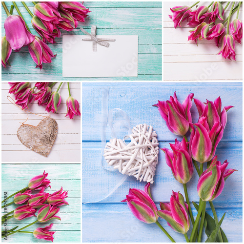 Fototapeta Naklejka Na Ścianę i Meble -  Collage from  photos with bright pink  tulips flowers
