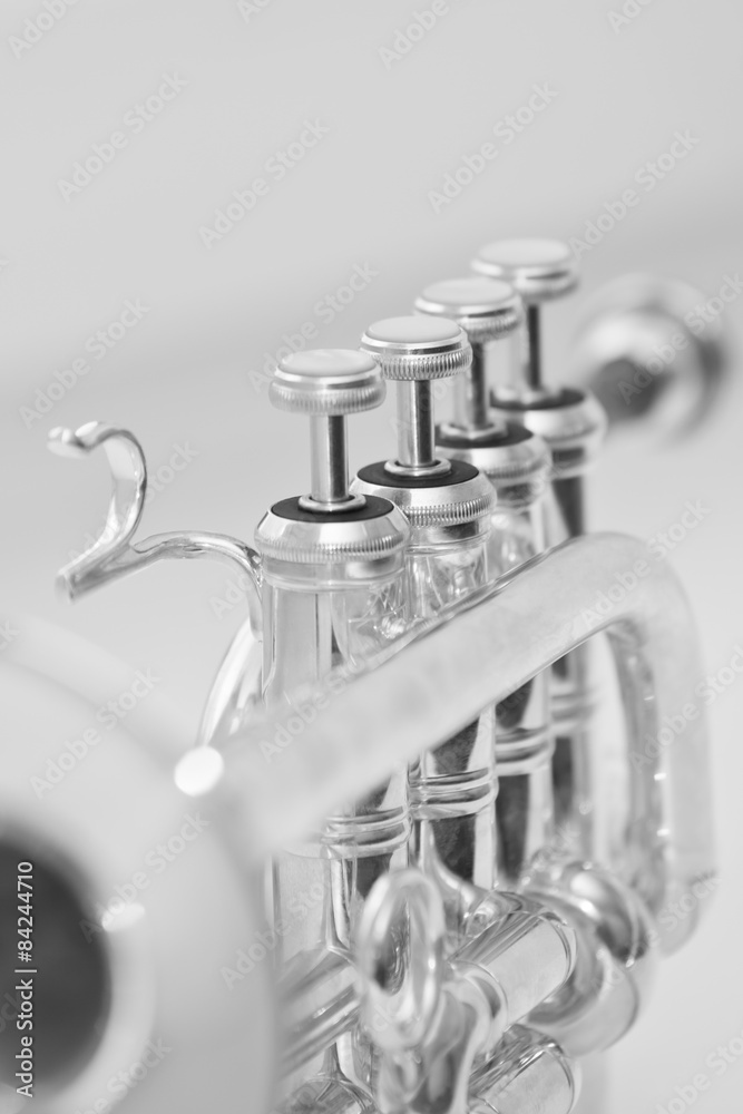 Obraz premium Fragment trumpet closeup