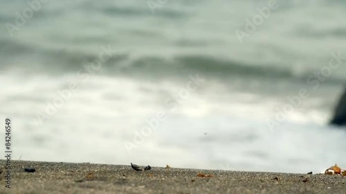 ビーチのスライダー撮影