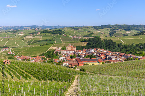 Small town and green vineyards in Italy. © Rostislav Glinsky