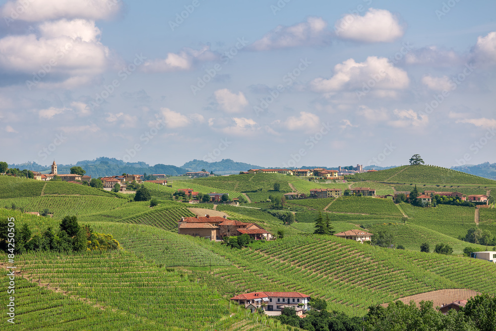 Hills and vineyards of Piedmont, Italy.