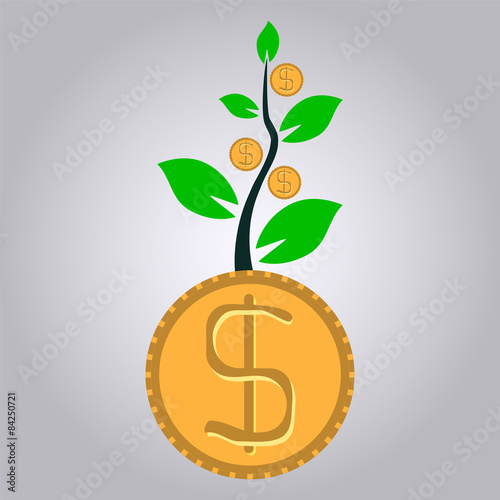 money plant business growth concept, dollar plant