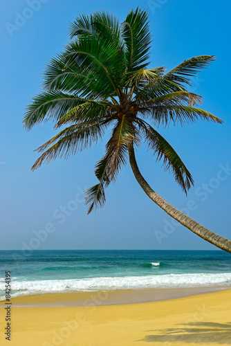 Fototapeta Naklejka Na Ścianę i Meble -  Tropical beach
