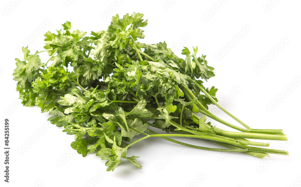 Parsley herb leaves over white background Parsley herb leaves over white background