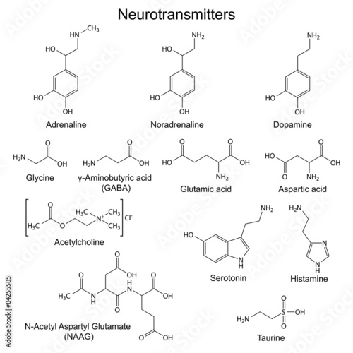 Chemical formulas of basic neurotransmitters photo