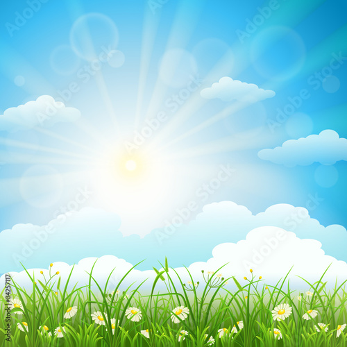 Summer meadow background