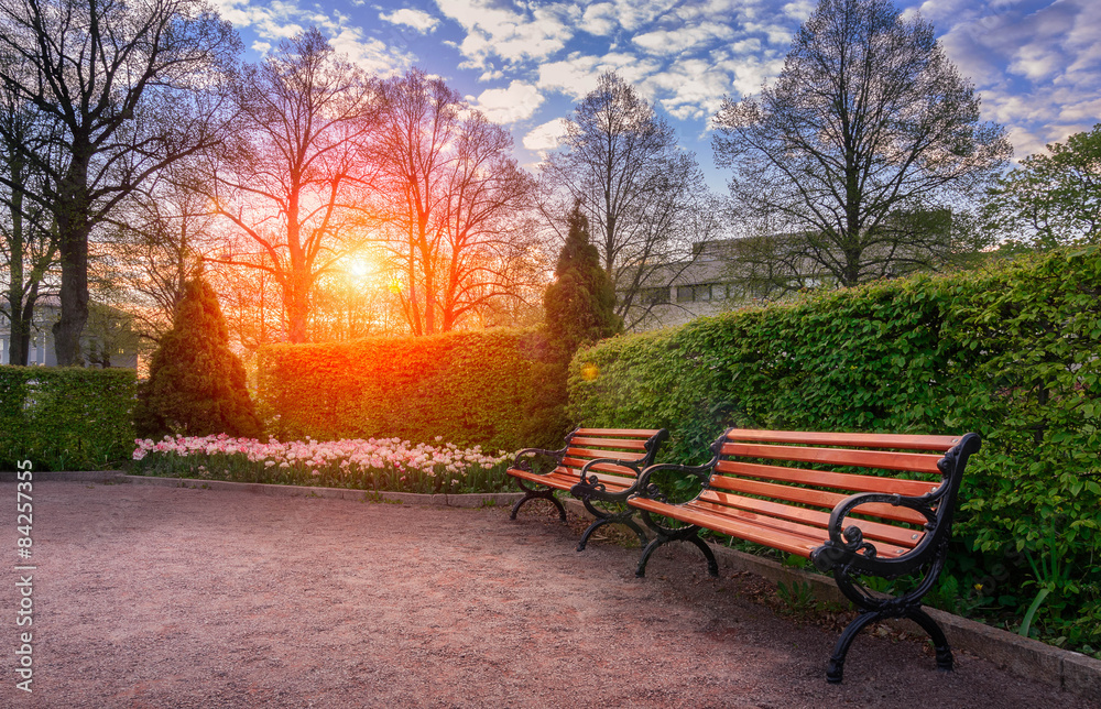 Bench in the park at sunset Bench in the park at sunset