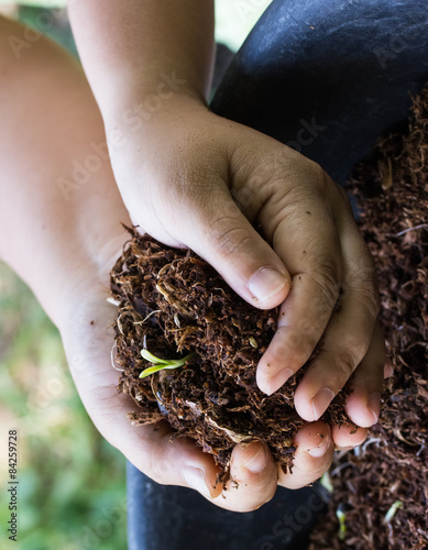 Hands holding green sprout with soil