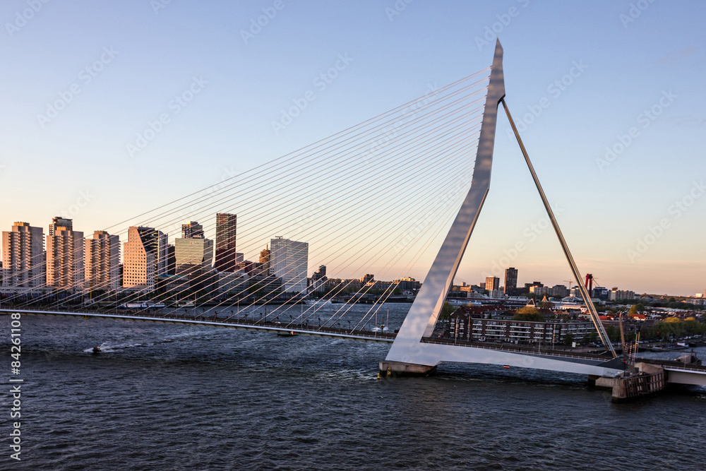 Obraz premium Erasmus Bridge and harbor in Rotterdam, Netherlands