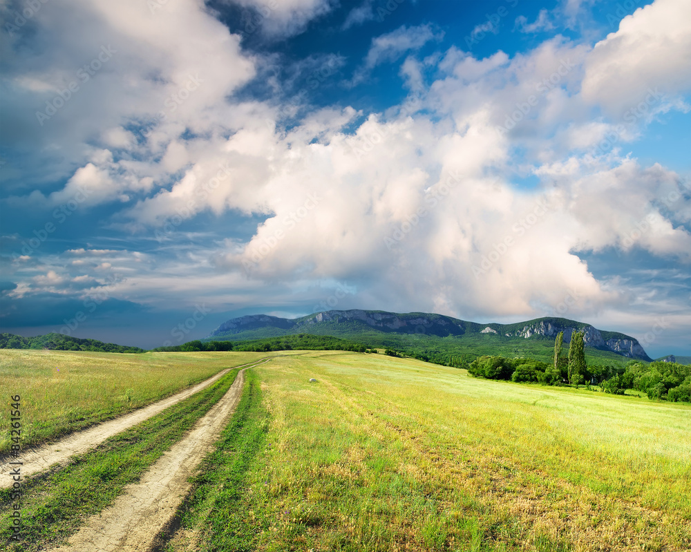 Road on green field. Agricultural landscape Road on green field. Agricultural landscape