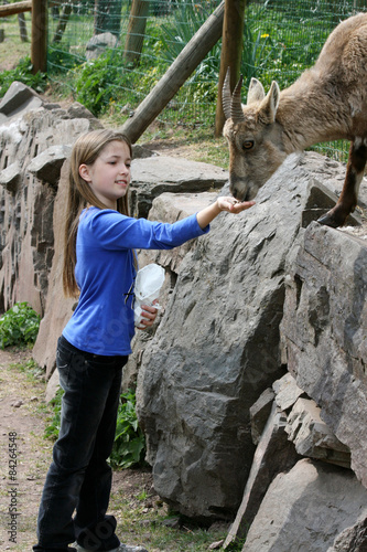 Animal friend