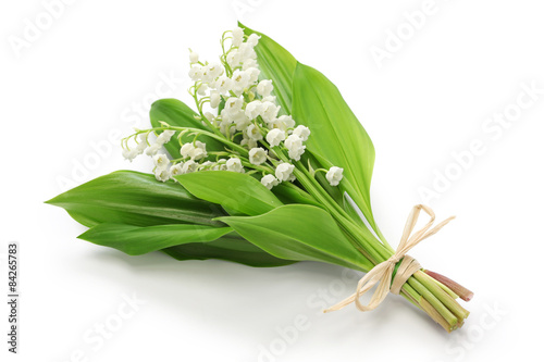 lily of the valley posy isolated on white background