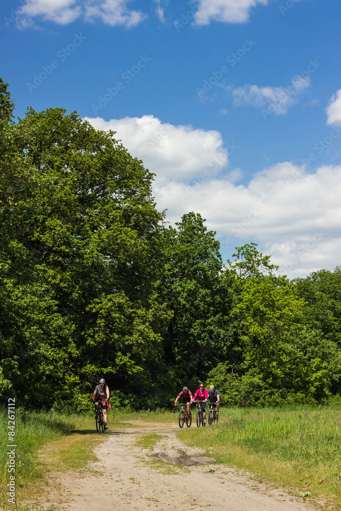 Travel by bike. Travel by bike.