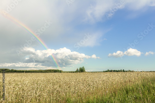 Farmland landscape with rainbow, cumulus clouds and cereal field