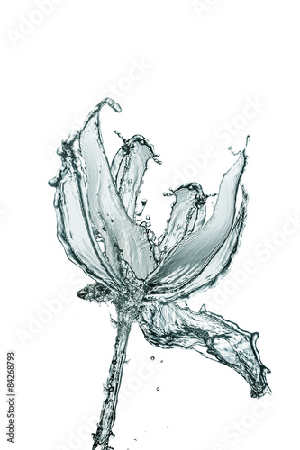 flower made of water on white baclground