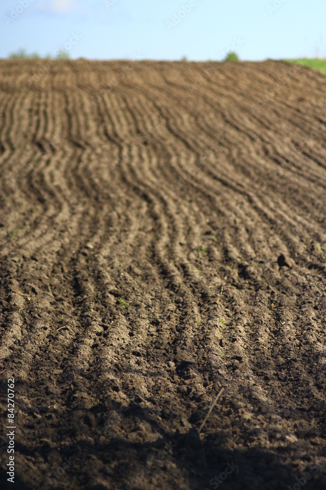 plowed land ready for planting potato in the village plowed land ready for planting potato in the village