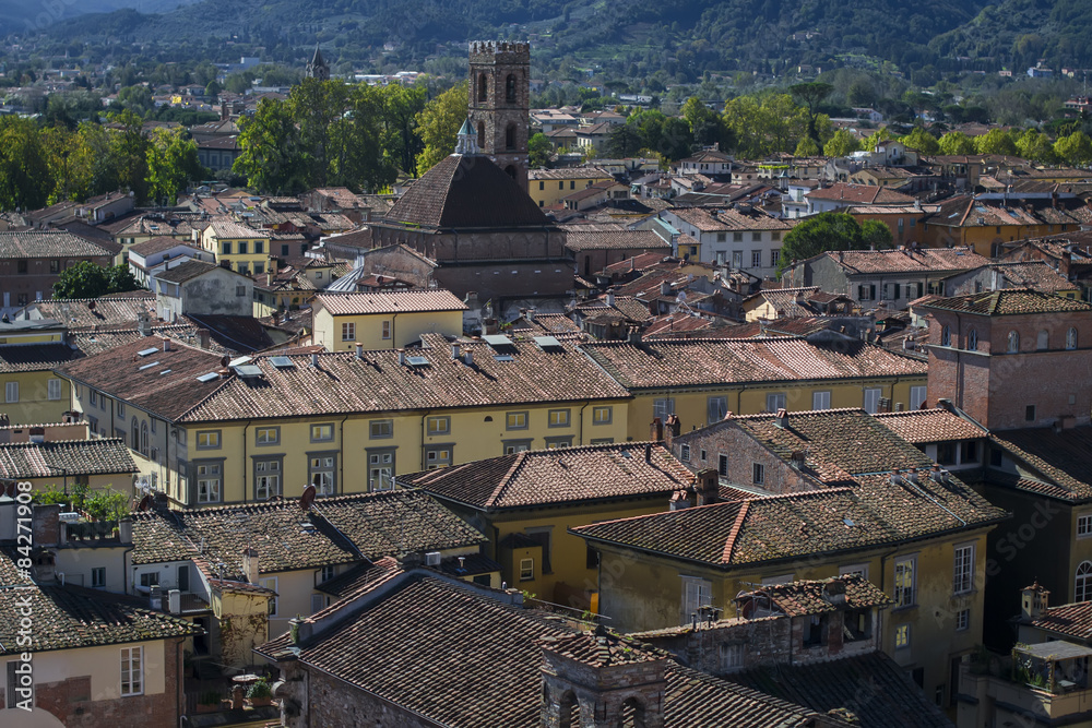 Fototapeta premium Lucca, Tuscany, Italy