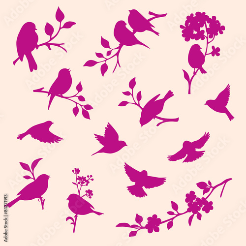 set of decorative bird and twig silhouettes