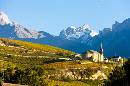 vineyards below church at Conthey, Sion region, canton Valais, S