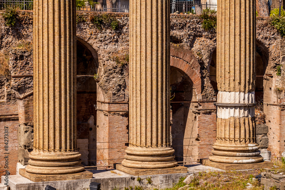 Fototapeta premium Forum Romanum in Rom