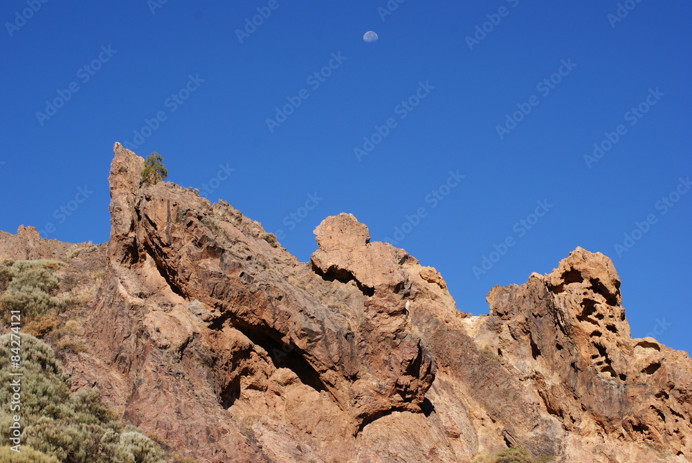 Fototapeta premium SONY DSC