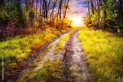 Road in the woods coming out to the setting sun