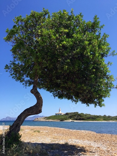 Leuchturm, Mallorca