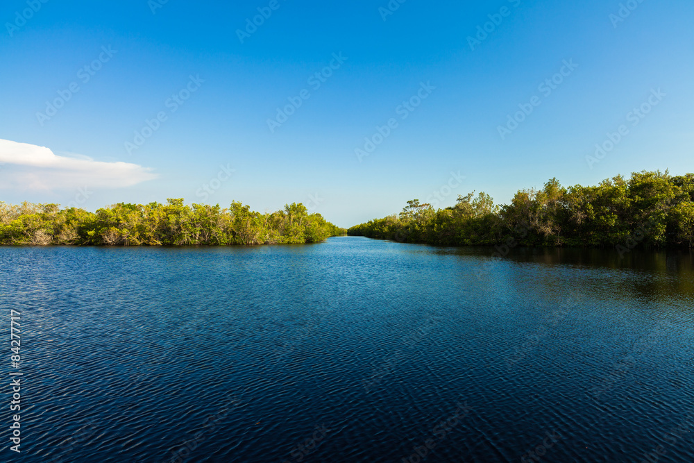 Obraz premium Florida Everglades