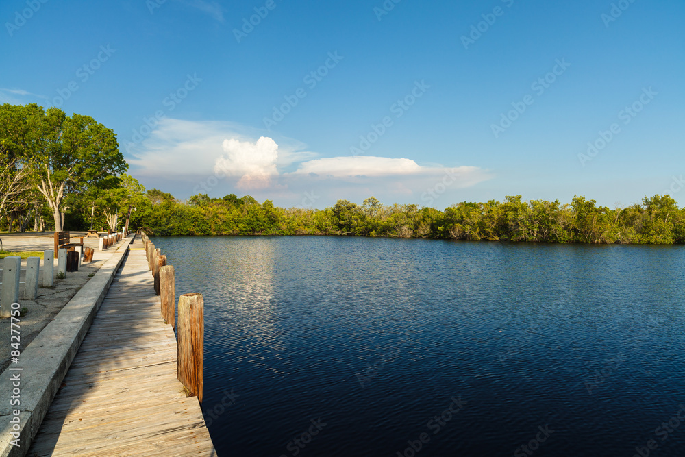 Florida Everglades